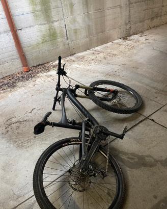 canyon strive f8