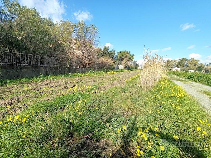 Terreno pianeggiante vicino al mare - Vista 4