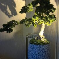 Bonsai artificiale