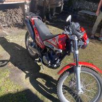 Beta alp200