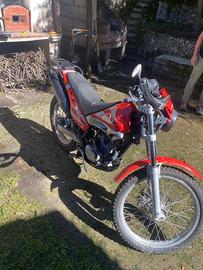 Beta alp200