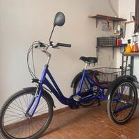 Bicicletta/ triciclo adulti