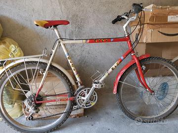 Bicicletta uomo Risi usata