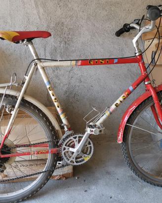 Bicicletta uomo Risi usata