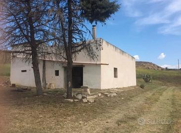 Terreno agricolo con irrigazione e casa