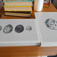 Coppia di quadri moderni 