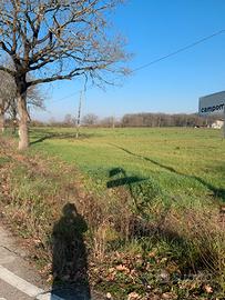 Terreno 41000 MQ pianeggiante e assolato