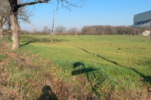 Terreno 41000 MQ pianeggiante e assolato