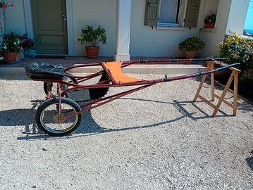 Ghinghetta (sulky - calesse) per cavallo