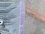 Immagine 8