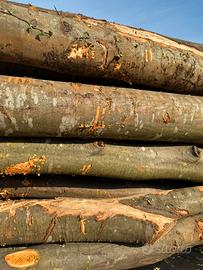 Legna da ardere fresca tagliata e spaccata