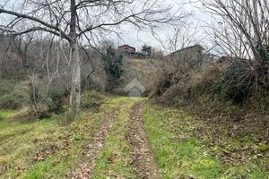 TER. AGRICOLO A ANGOLO TERME
