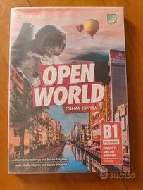 Libro Inglese Open World Liceo Artistico