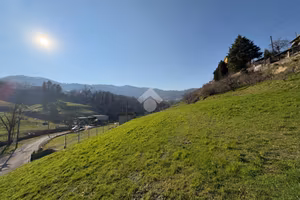 TER. AGRICOLO A FORESTO SPARSO