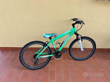 5 bici a 150€