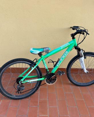 5 bici a 150€