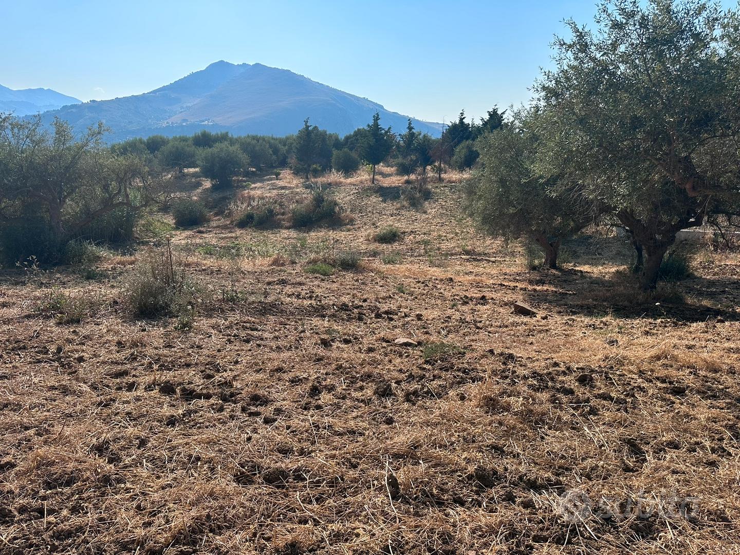 Terreno str. prov. 127 c.da Raiata 6100mq Bagheria - Vista 3