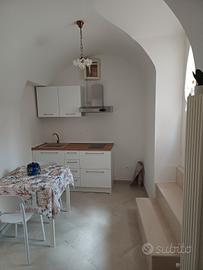 Centrale/bagno privato/cucina/studentessa LUM