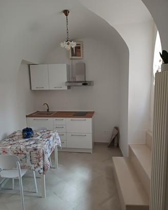 Centrale/bagno privato/cucina/studentessa LUM