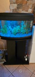 aqcuario da 60L
