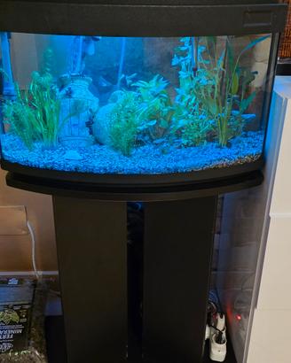 aqcuario da 60L
