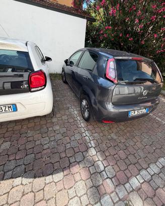 Fiat punto Evo