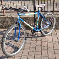 biciclette mountainbyke COLORADO ELIOS e  LERI