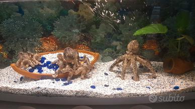 acquario completo