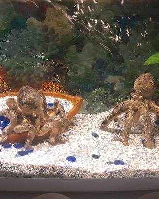 acquario completo