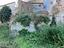 Immagine 23