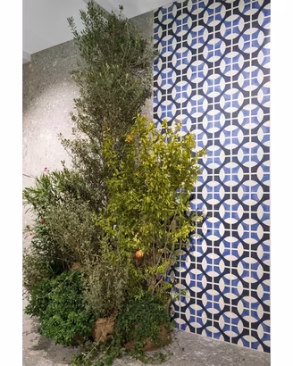 Piastrella 20x20 Sole 03 Mat Sant'Agostino