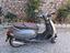 Immagine 5