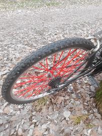 bici da mtb