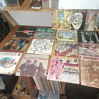 Nomadi lotto in vinile 45"