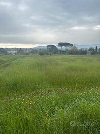 Terreno pianeggiante