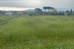 Terreno pianeggiante