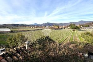 RUSTICO A PASSIRANO