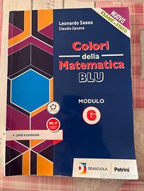 Libro di testo Colori della Matematica Blu G