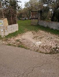 Terreno e uliveto