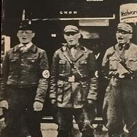 Libro Storia del Terzo Reich. William L. Shirer.