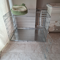 Kennel