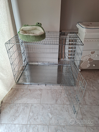 Kennel