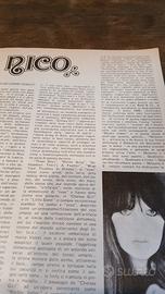 Rockerilla novembre 1979