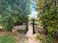Immagine 15