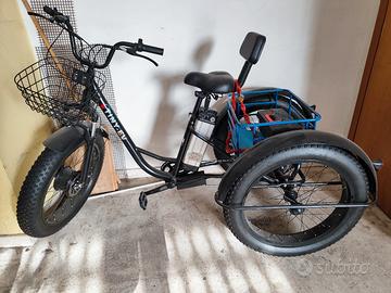 Bici elettrica a tre ruote Tiny EV