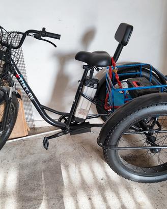 Bici elettrica a tre ruote Tiny EV