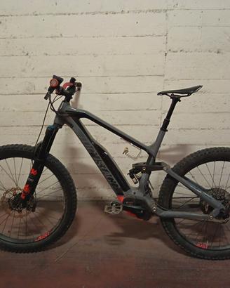 ebike bicicletta elettrica