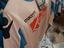 Immagine 1