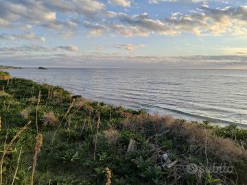 Terreno zona pisciotto