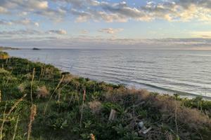 Terreno zona pisciotto